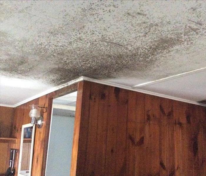 Mold growth on the ceiling before mold remediation