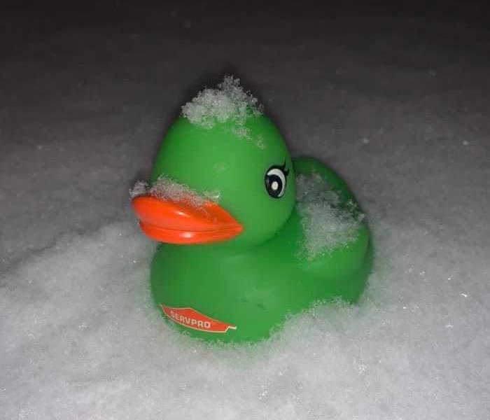 Squeegee, a green and orange duck sitting on the snow.